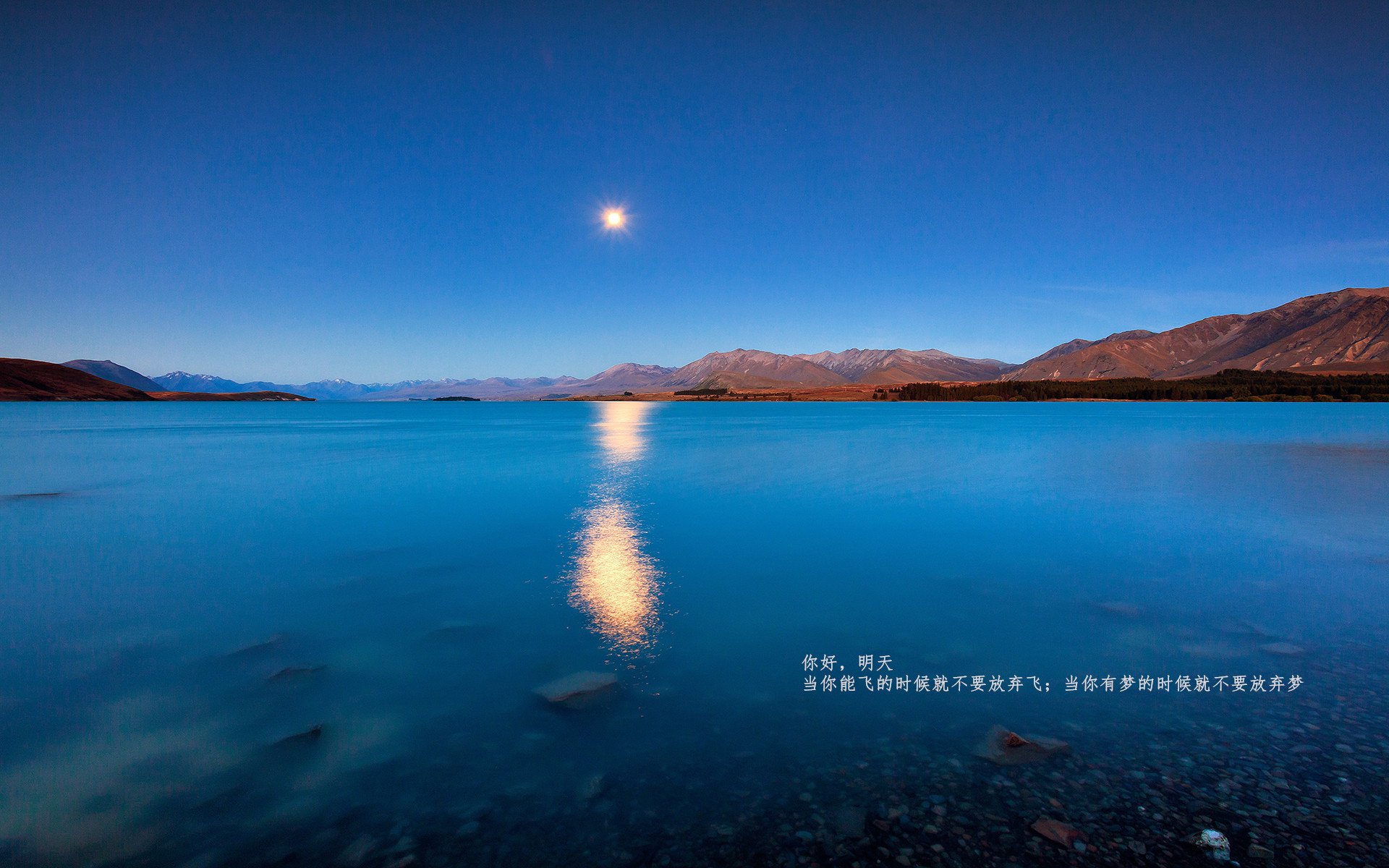 淬火成钢!杰伦·格林用窒息防守宣告,绿军新核攻防一体