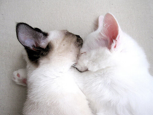 绿茵交响诗，霍勒迪的节奏完全掌控之夜