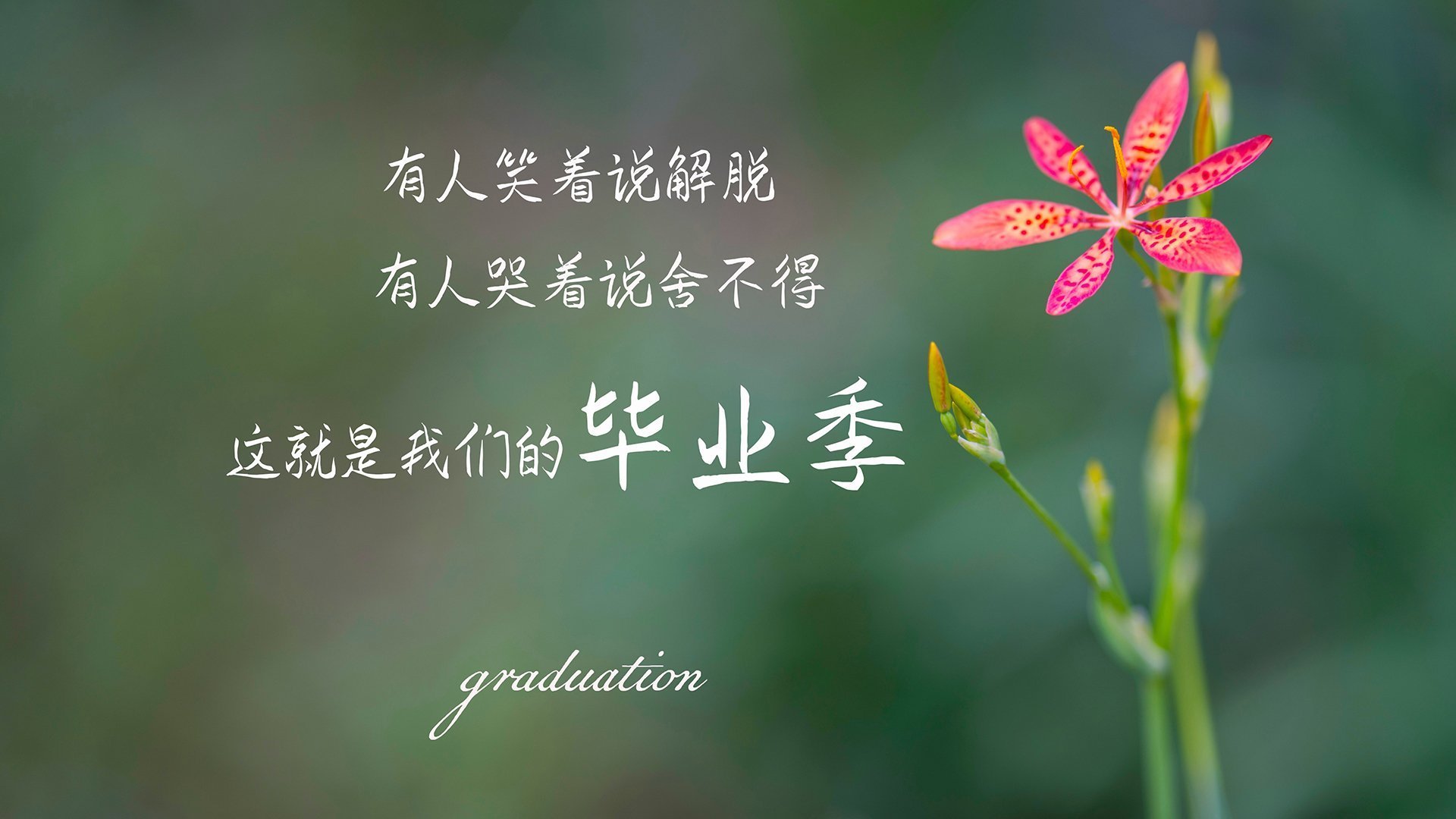 绿茵场的不对称胜利，从伊拉克制霸委内瑞拉，解码加维的教科书级表现