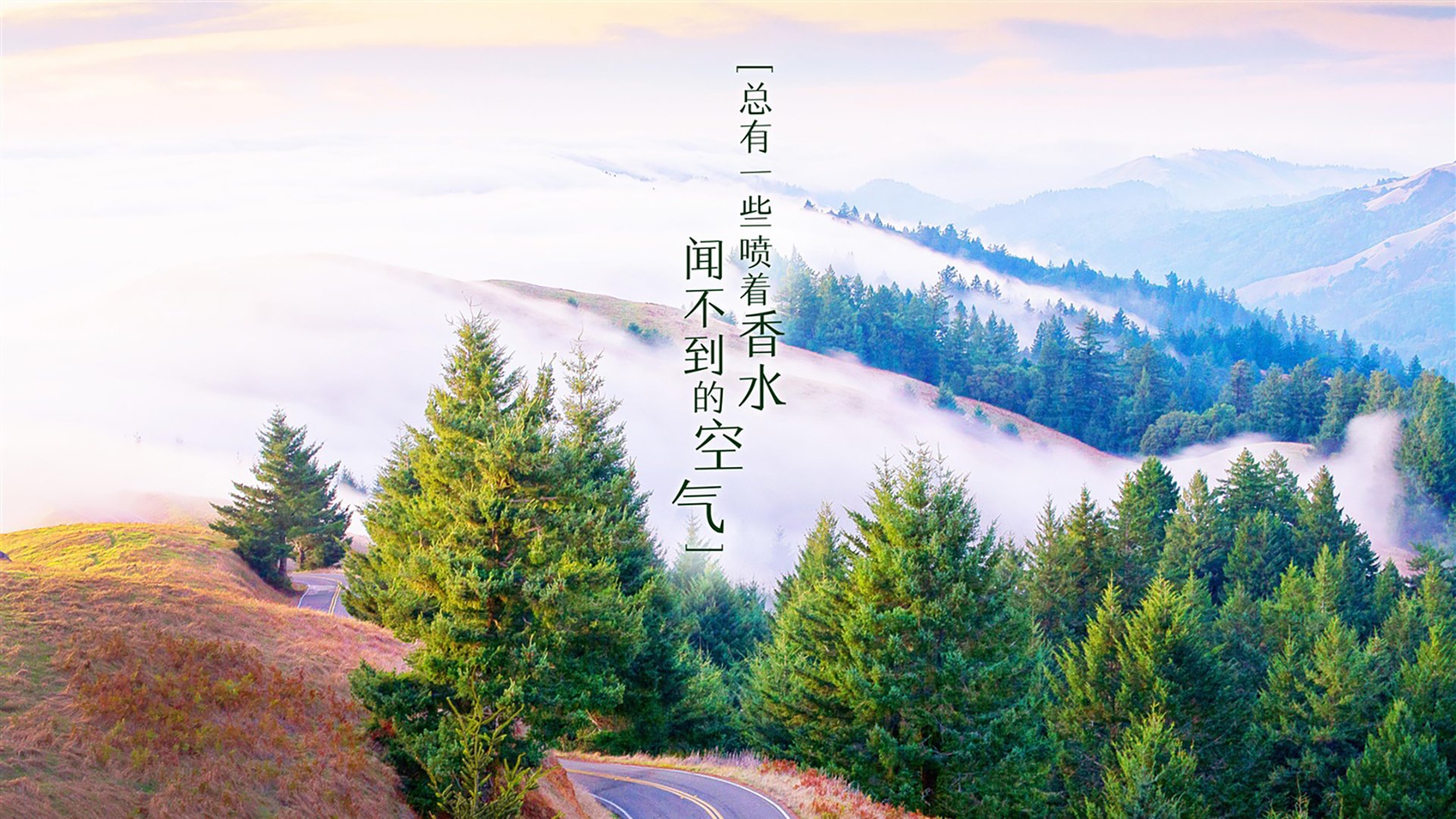 双城记，深圳的节奏革命与库里的转换哲学