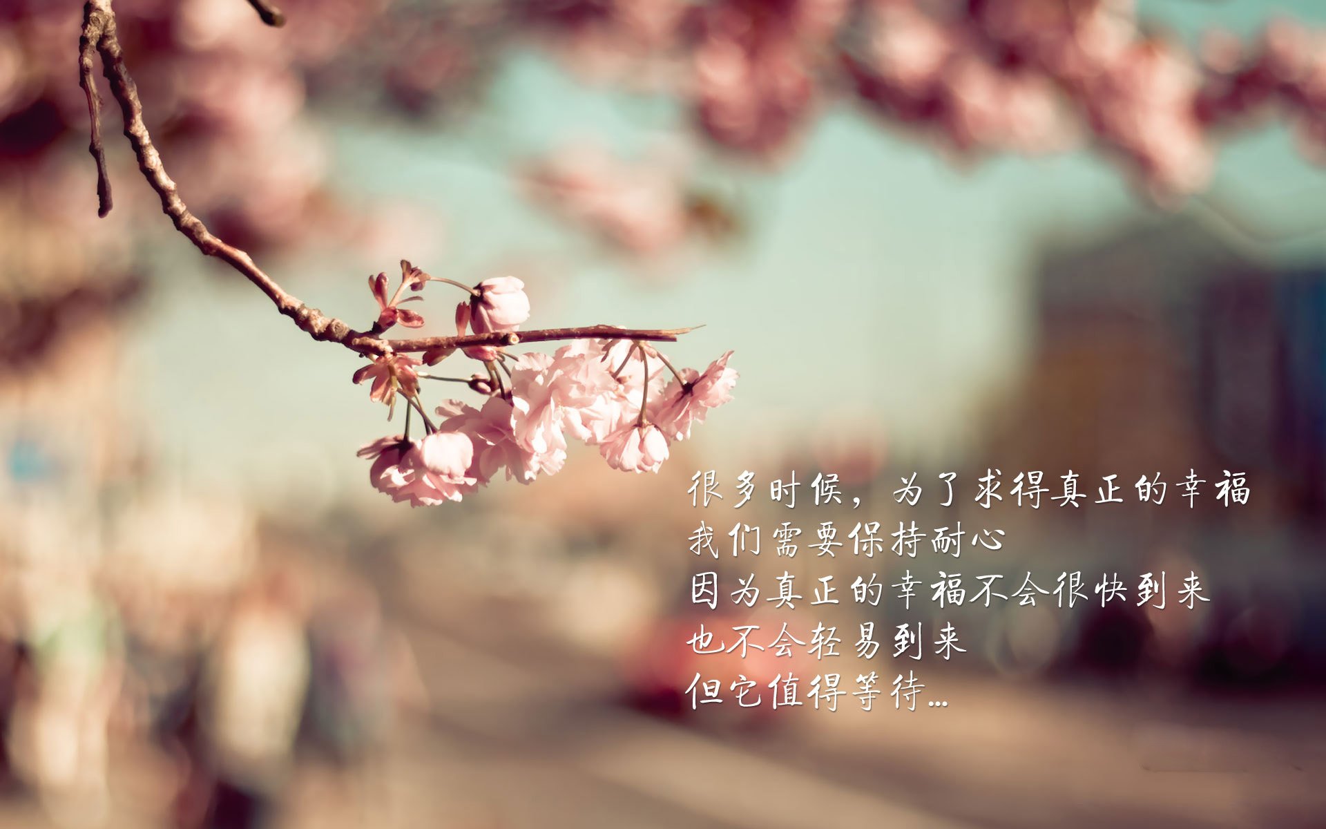 拉梅洛连珠炮轰碎申城防线，辽宁客场上演逆转好戏