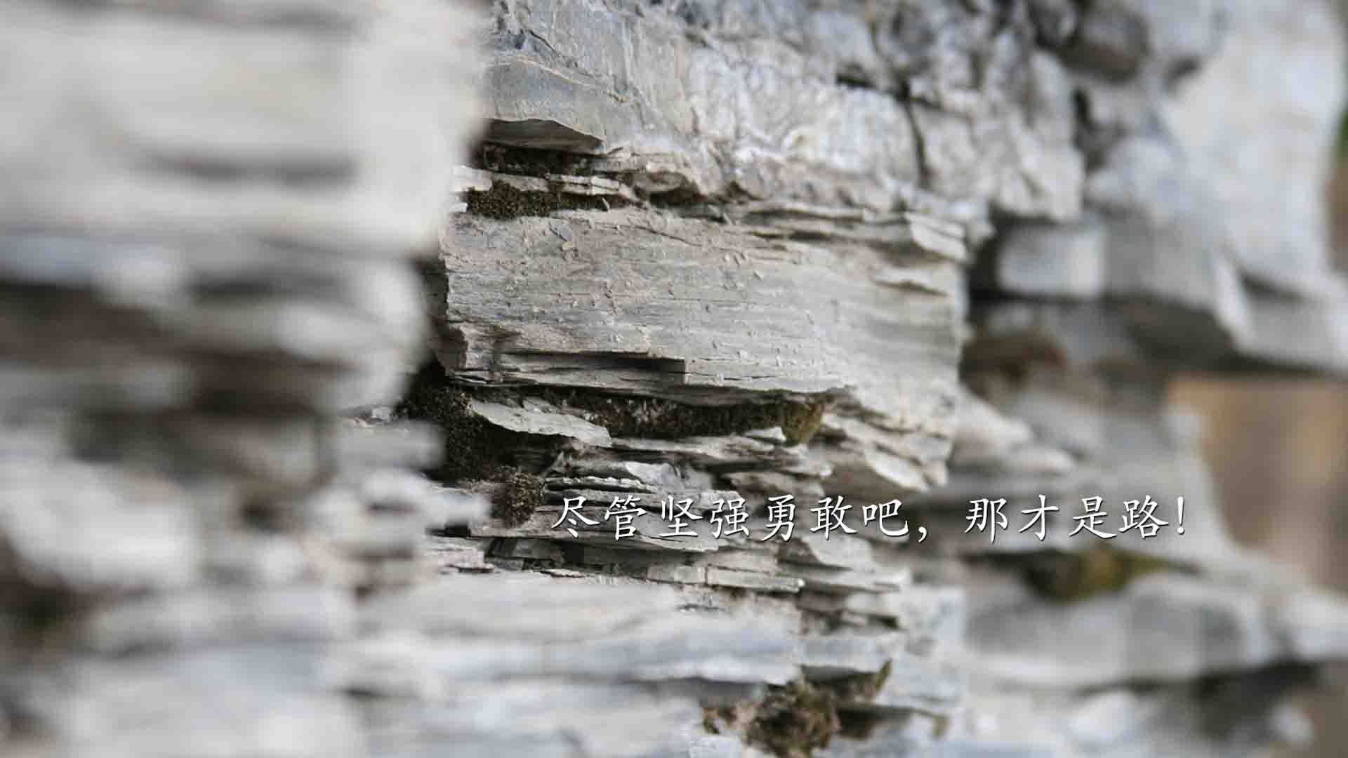 关键先生福克斯，独得37分导演超级逆转，上海队力擒老鹰