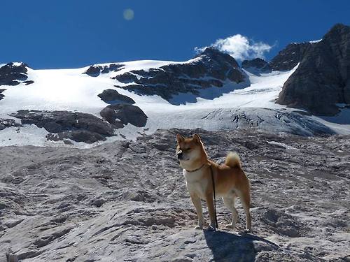 跨界王者，广厦战术压制雄鹿，字母哥F1揭幕战逆袭