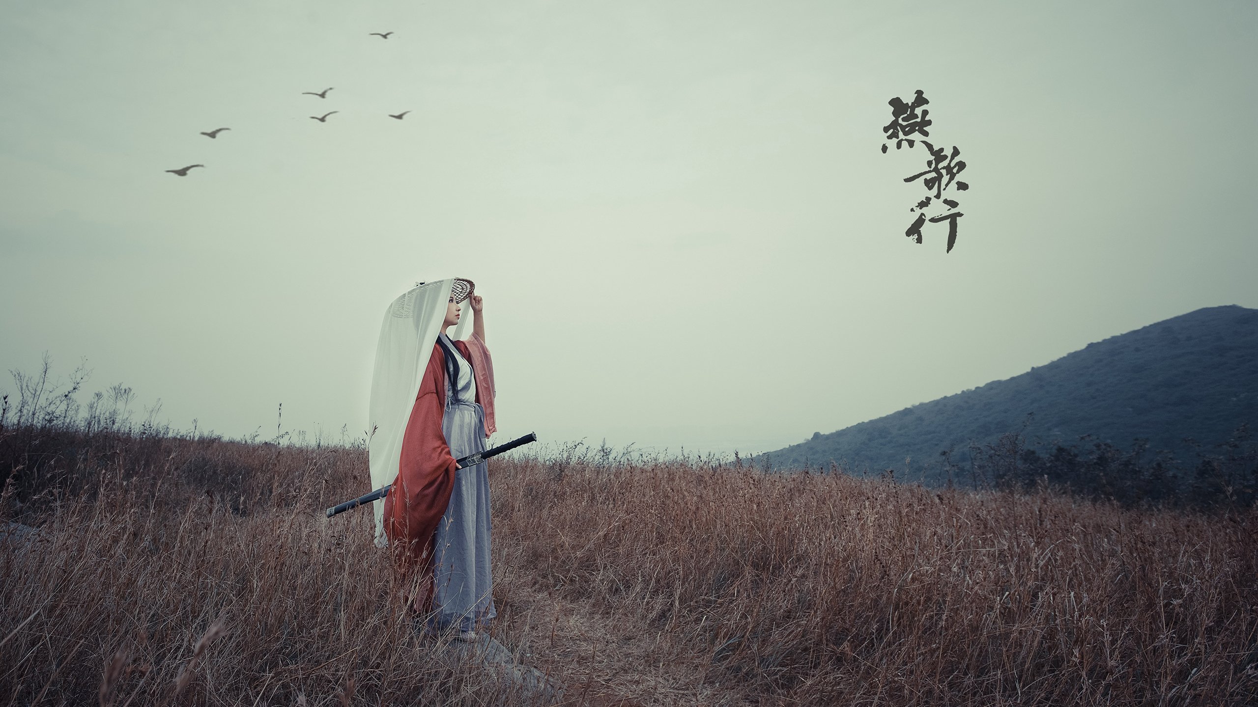 跨越时空的击掌，当哈登带队取胜与浙江队战胜尼克斯相遇