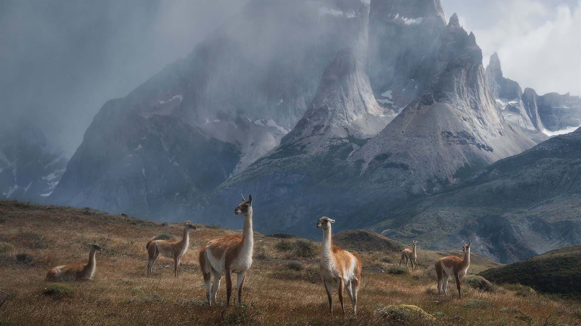 新王与旧神的交锋，沙漠风暴下，罗德里如何一剑封喉文艺复兴之城