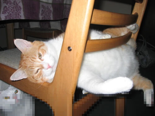 恩比德法则，当他穿上篮网球衣，一场关于节奏主权的实验