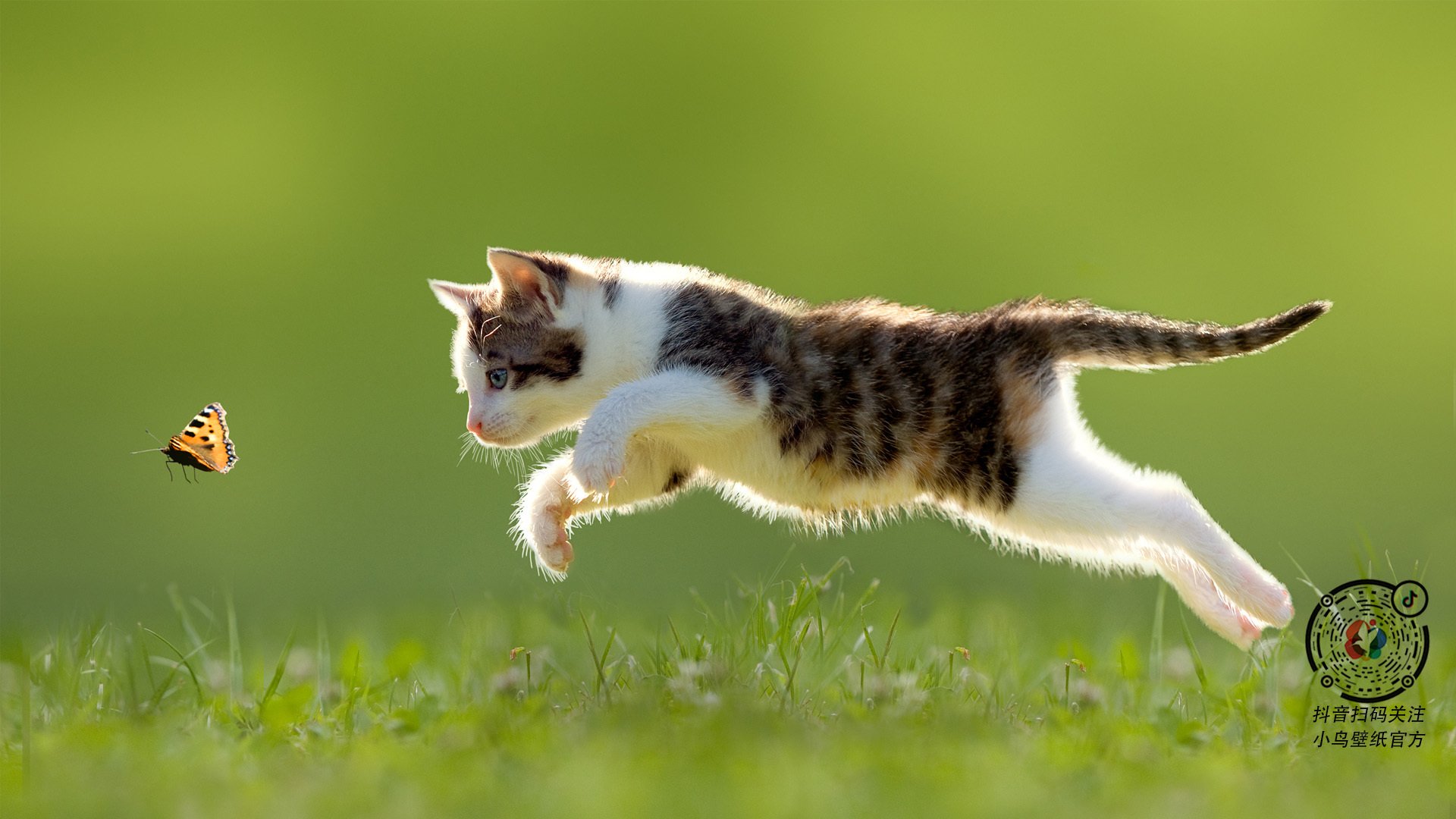 新奥尔良的关键先生交响曲，当伦纳德成为撕裂爵士防守的指挥家