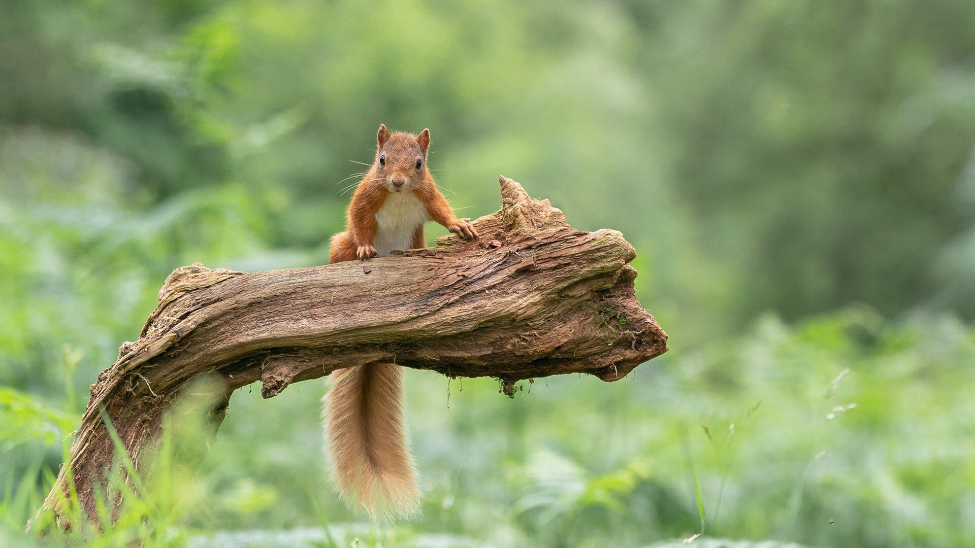 破次元之战，当山西男篮在虚拟赛场对阵巅峰热火