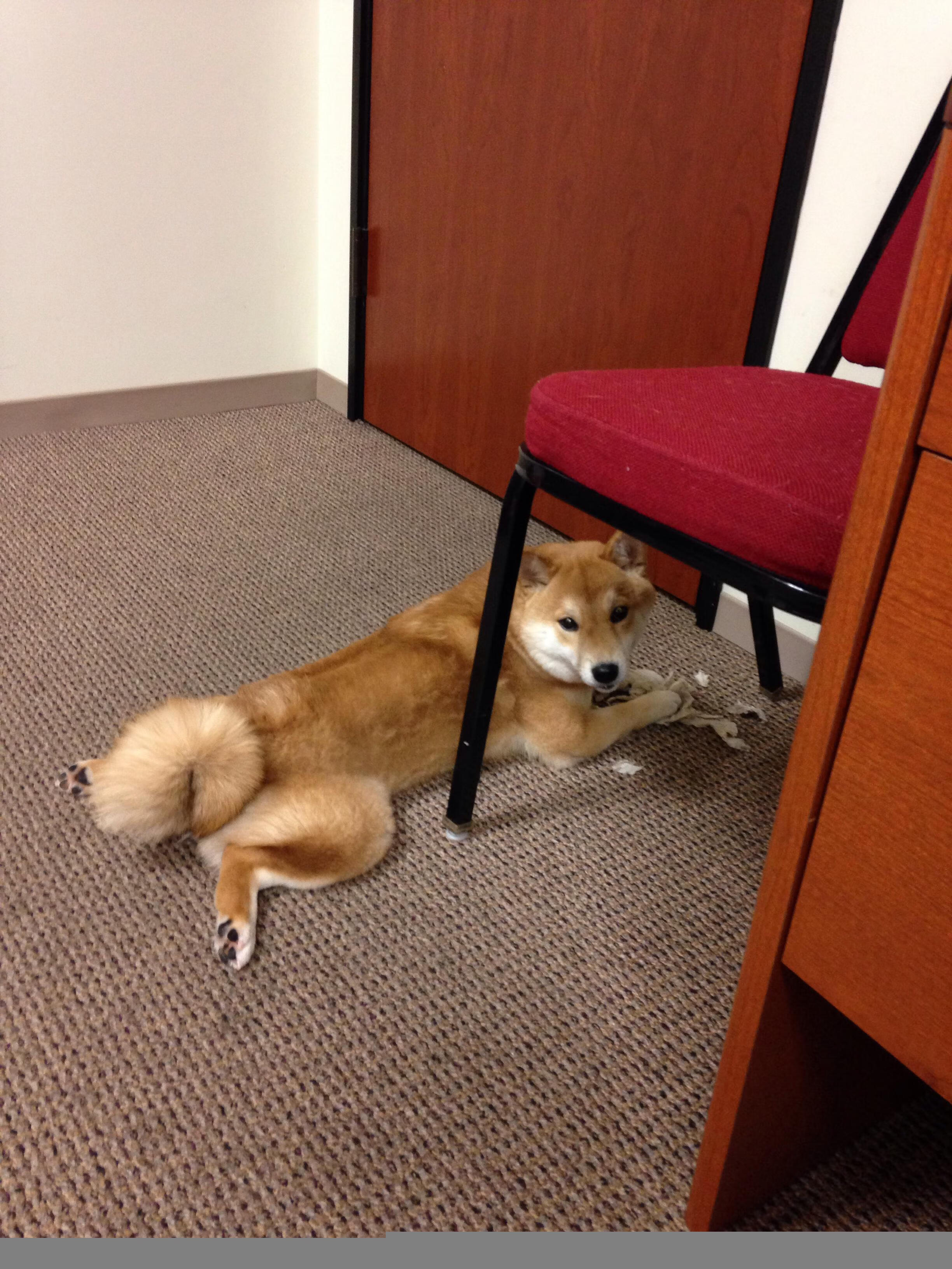 冰与火之歌，欧文一肩挑起攻防转换的引擎，辽宁队以整体铁律冻结浙江队