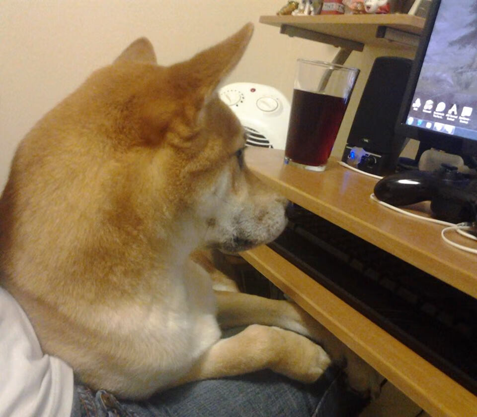 一个人的世界杯,当登贝莱的独舞撕裂了葡萄牙的黄金一代