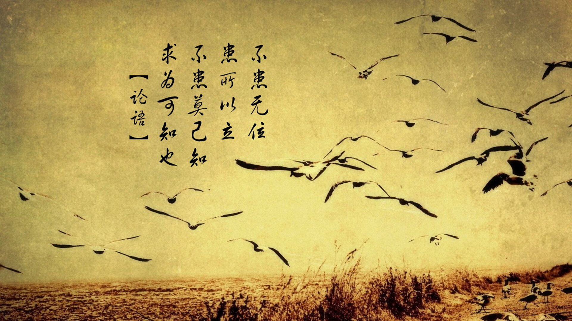 唯一的琴弦，当保加利亚玫瑰遇上升降机，久保建英奏响2026命运交响曲