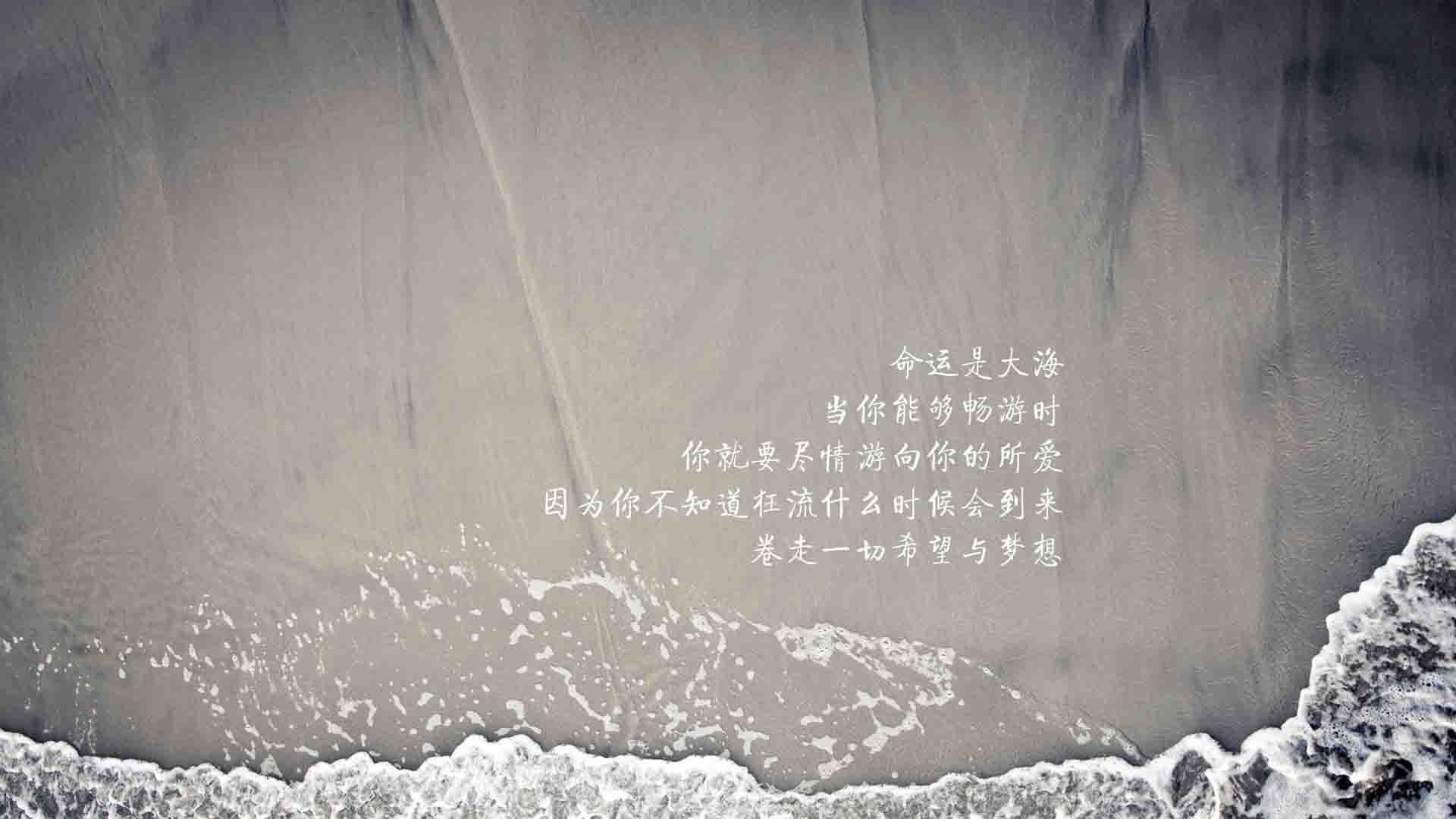 沙漠之狐的逆袭,2026世界杯揭幕战,阿联酋4-1血洗乌拉圭,哈兰德北欧神锋姿态统治全场