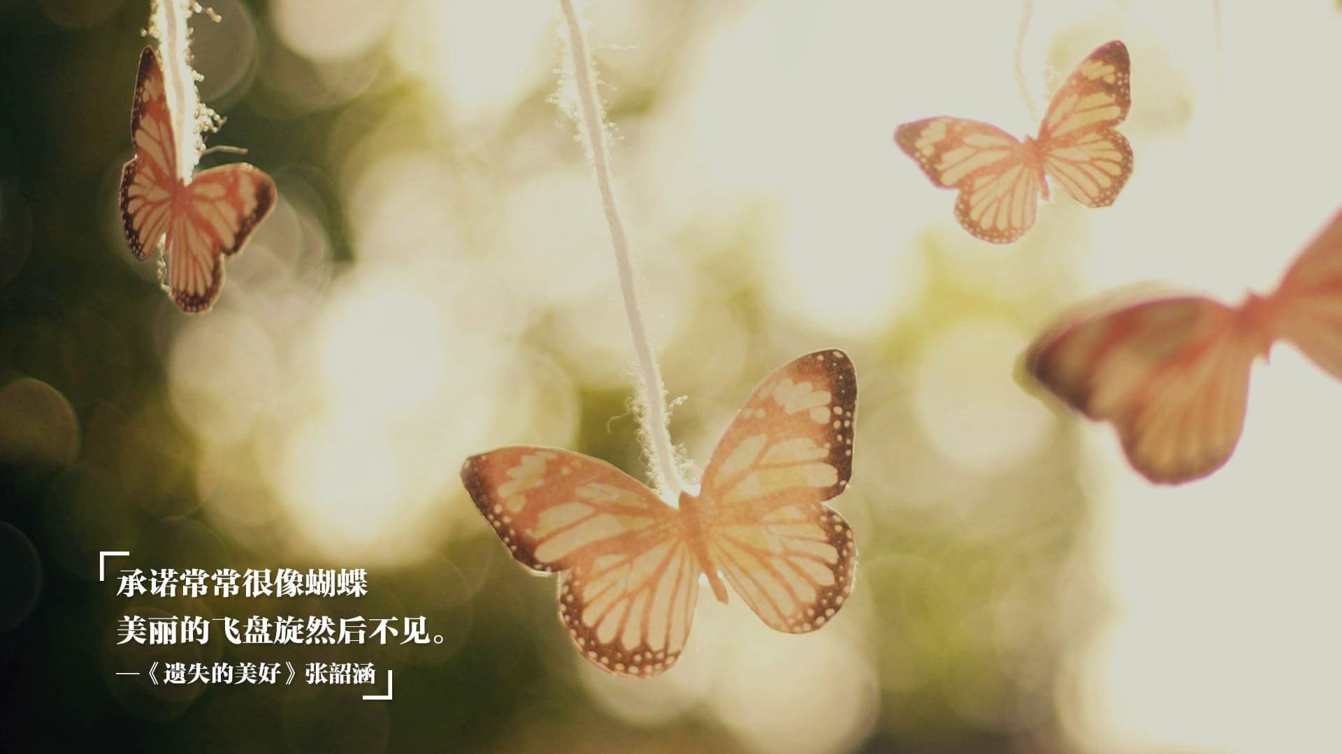 极光下的冰墙，冰岛门神封死罗德里戈，E组惊现维京战吼血洗瑞士