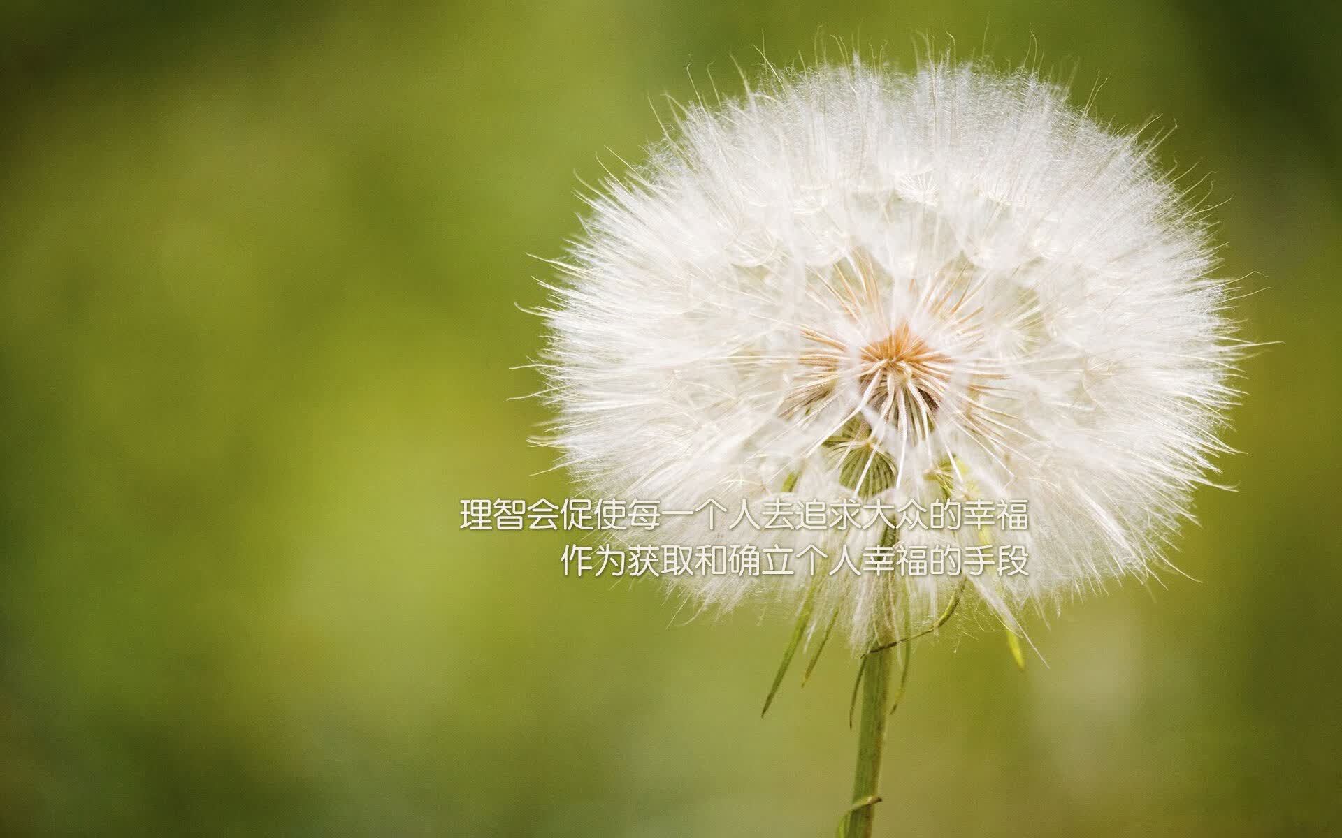 冰与火之舞,当北欧战车碾过美索不达米亚,迪亚斯的致命一击与门将的神迹谱写了唯一的B组史诗